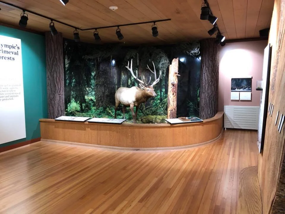 JNL job photo of an exhibit interior with teal and light-colored walls